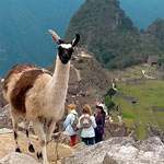 Machu Picchu en Linea - Comentario Miguel Antonio C