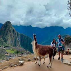 Comentario de Miguel G, Machu Picchu en Linea