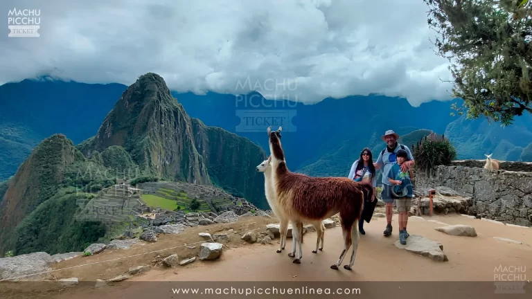 Machu Picchu circuito 1b solo terraza superior Machu Picchu en linea